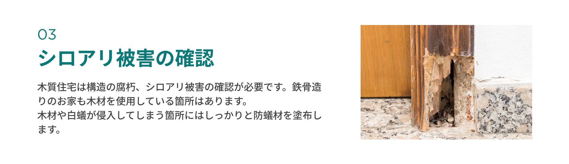シロアリ被害の確認