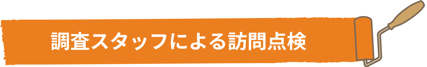 調査スタッフによる訪問点検